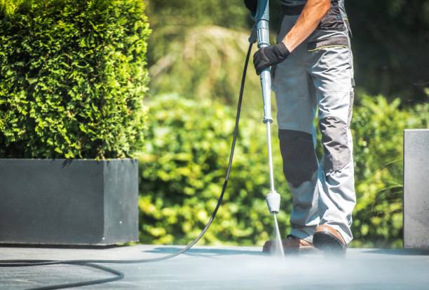 Best Fleet Vehicle Washing  in Laguna Vista, TX