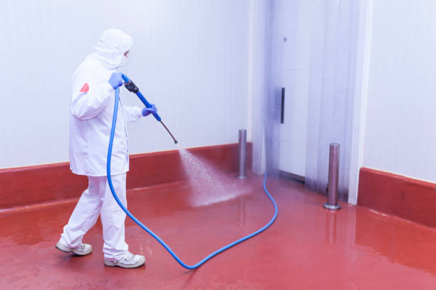 Best Paint Preparation  in Laguna Vista, TX