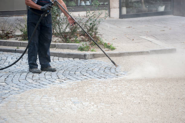 Best Winterizing Services  in Laguna Vista, TX