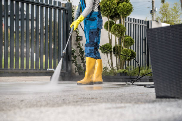Best Patio and Deck Pressure Washing  in Laguna Vista, TX